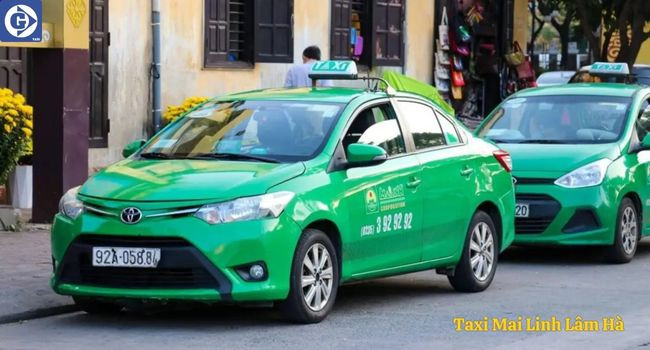 Xe Taxi Mai Linh Lâm Hà sẵn sàng phục vụ