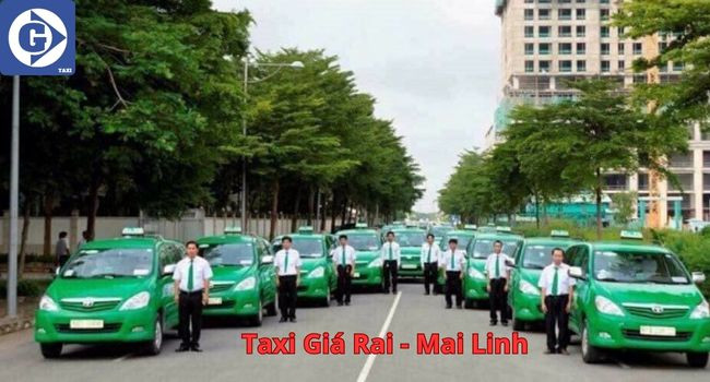Xe taxi Mai Linh màu xanh lá cây đỗ bên đường tại Giá Rai