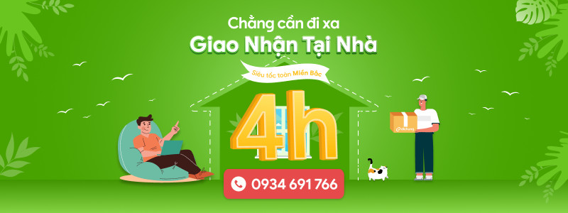 Xe taxi màu xanh di chuyển trên đường nông thôn tại Kim Sơn, Ninh Bình, thể hiện sự tiện lợi của dịch vụ vận chuyển khách.