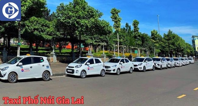 Xe Taxi Phố Núi Gia Lai sẵn sàng phục vụ khách hàng tại Gia Lai